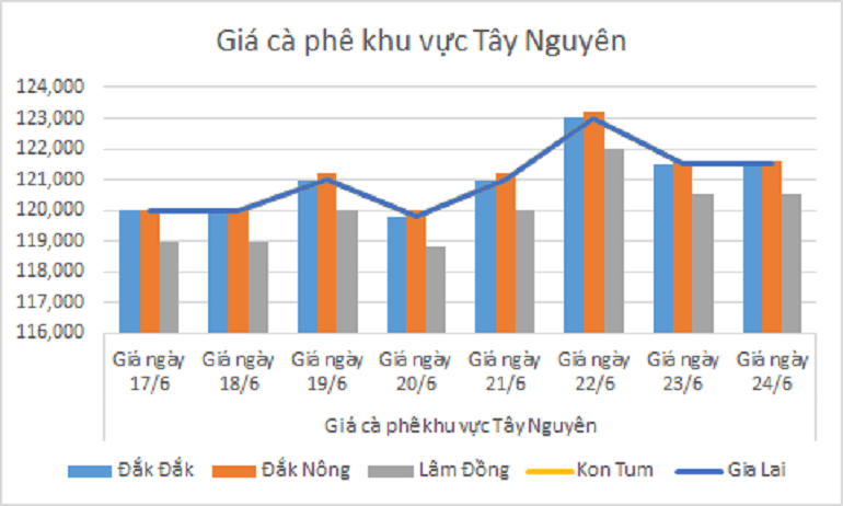 Bieu do gia ca phe ngay 24.6.2024_1719199939.png